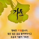 응석사 - 991 | 응석사