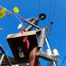 신짱개집 이미지