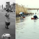 아지매푸드 이미지