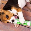 (주)노즈워크 이미지