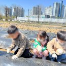 초롱목장 이미지