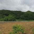 파천면사무소 이미지