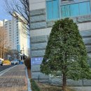 화산골작은도서관 | 아이와 가볼만한 곳 서울 &#39;서대문자연사박물관&#39;