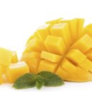 망고(MANGO)