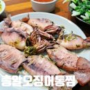 총알오징어 통찜 녹진하게 찌는법 (ft.시골상회)