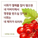 [NIV MDS 9-08-3] 요한복음 15장 8절 이미지