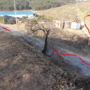 옹골농장 이미지