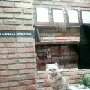 루나동물병원 이미지