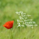 양지메디칼 이미지