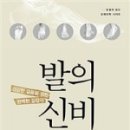메디칼신비 네이버블로그