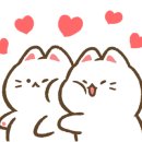 노아헬시푸드