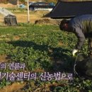 신안농산