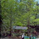 큰골공원 이미지