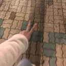 이화골프스크린 | 2025년 10월 일상