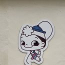 MBC노래연습장 이미지