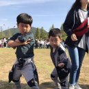 에듀피아유치원 이미지