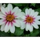 돌마리경로당 이미지