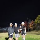 대홍실내골프클럽 이미지