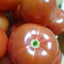 브니엘농장 이미지