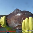 k3바다낚시터 이미지