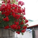 영진정비공장 이미지