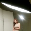 서희수 카카오 검색결과