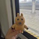 장군모텔 | [국내여행] 여수 혼여행 1편