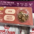 견생냥품 무인24시 양주 고읍점 이미지