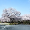 담배인삼공사 이미지