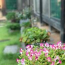 풍덕고택 이미지