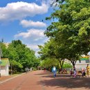 반야월역사 작은도서관 내 이미지