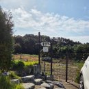 영문로 | [경기 용인시] 처인구 에버랜드 근처 가성비 수영장 펜션 The145 방문후기