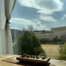 풀과꽃이야기 이미지