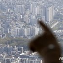 강남한국부동산공인중개사사무소 이미지