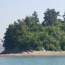 변월도