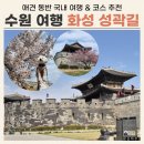 강아지와 산책 | 수원 화성 성곽길 애견 동반 후기 (강아지 산책 코스, 주차)