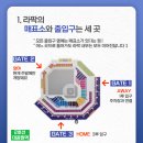 케이티알파_PAYCO | 대구삼성라이온즈파크┃후기/자리/가격/흡연실/주차/꿀팁