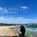 쉼터투 | 본다이 투 쿠지 코스탈워크 소요시간 얼마? 2년 살면서 직접 걸어본 현실 후기