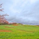 시원목장 이미지