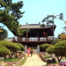 완도읍-8 이미지