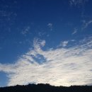 남포상회 - 하동군 옥단로 140-8 | 남포상회