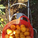 세용농장 이미지