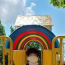 홍희통닭 이미지