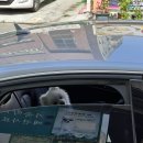 경북가축병원 이미지