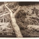 단원미술관 이미지