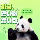 쏭투어 이미지