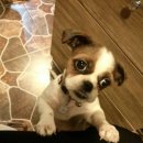 동네게임방 이미지