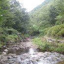 금화농원 이미지