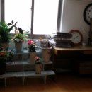 한성경로당 이미지