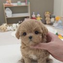 모****** 네이버블로그